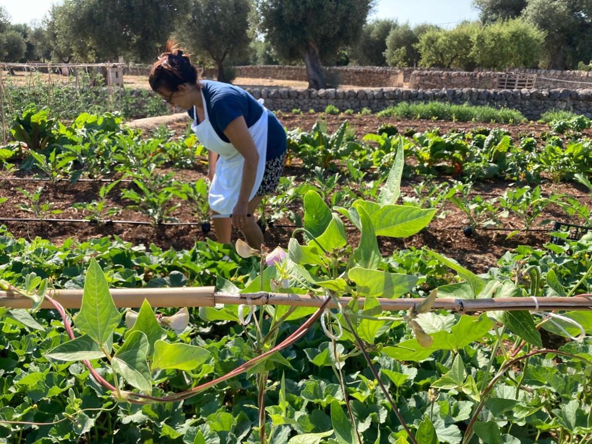 Boutique Hotel Masseria Sottomasi سافيلّيتري المظهر الخارجي الصورة