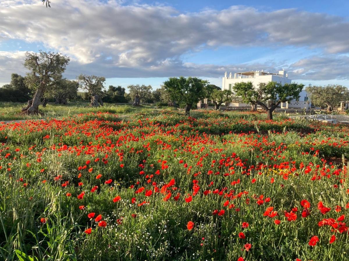 Boutique Hotel Masseria Sottomasi سافيلّيتري المظهر الخارجي الصورة