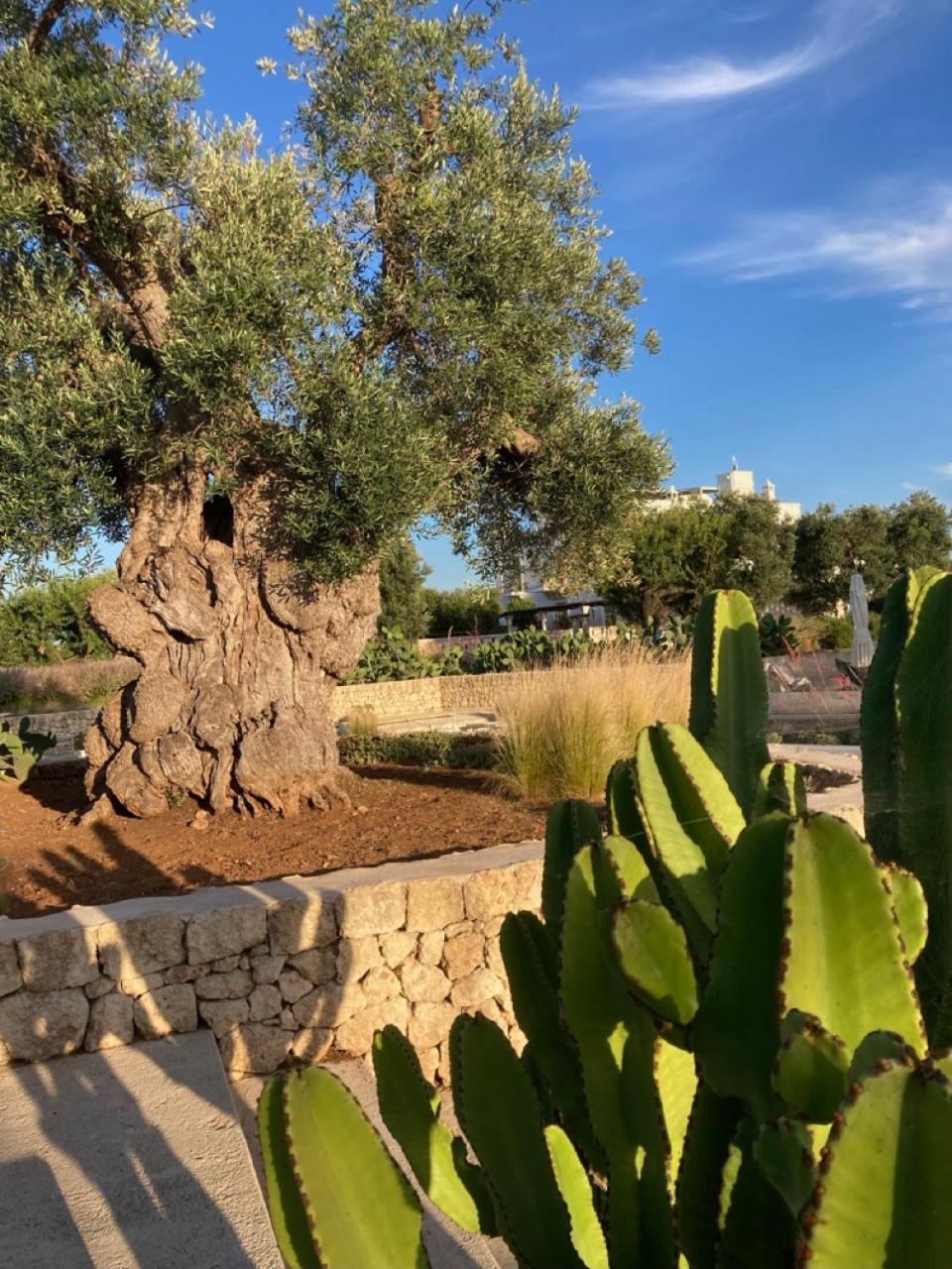 Boutique Hotel Masseria Sottomasi سافيلّيتري المظهر الخارجي الصورة