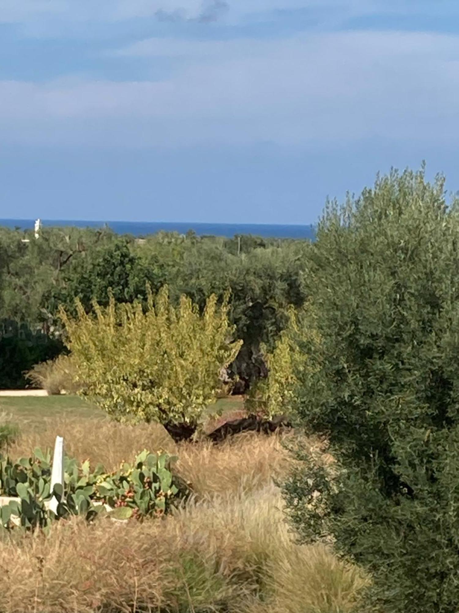 Boutique Hotel Masseria Sottomasi سافيلّيتري المظهر الخارجي الصورة